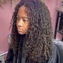 Lace Front Wig Install