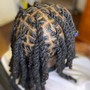 Two Strand Twists