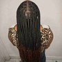 Box Braids