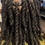 Havana Twists