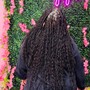 Goddess box Braids Hair Included