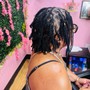 Locs Retwist and Style (Shoulder length)