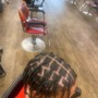 Medium Box Braids