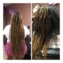 Small Knotless Braid Takedown