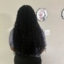 Large Senegalese Twist