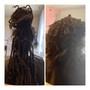 Faux Loc over locs Takedown