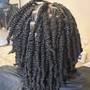 Two Strand Twist