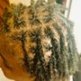 Loc Re-twist