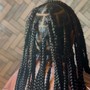 Poetic Justice Braids