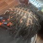 Starter locs