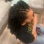 Crochet Braids, Twists, Locs