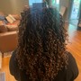 Crochet Braids, Twists, Locs