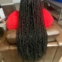 Small/Medium Passion Twists