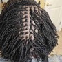 Crochet Braids