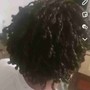 Natural Twists