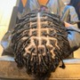 Starter Locs (coils)