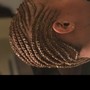 Feed in Cornrows: Small