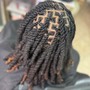 Locs Detox