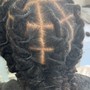 2 strand twist Loc Style shoulder length