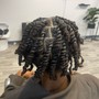 Braid/Faux Loc Takedown