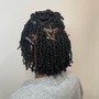 Traditional Starter Locs