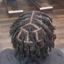 Starter locs