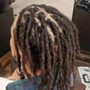 Starter locs