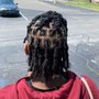 Starter Locs