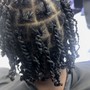 Two Strand Twist (Loose Hair)