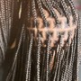 Small Knotless Braids