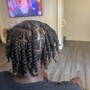 Medium Plaits or Twists