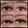 + Volume Individual Lashes $50