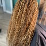 Bohemian Curls(Mix Blend)