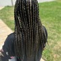 Feed-in braids