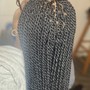 Small Senegalese Twist