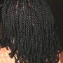 Women Small Natural Twists