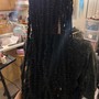 2 Feed ins Braids