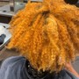 Root Touch Up