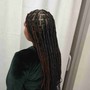 Medium Box Braids (hair not included)