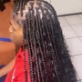 Xs box braids with xs parts