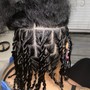 One strand twist ( book if you have locs )