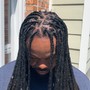 Starter Locs