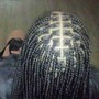 Tribal Braids