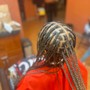 Knotless Braids starting at