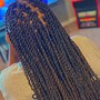 Medium Senegalese Twist