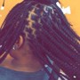 Medium Box Braids