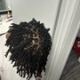 Starter Locs