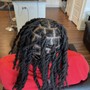 Starter locs