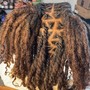 Dreadlock Crochet Maintenance (Roots only)