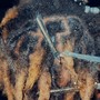 Loc Coils